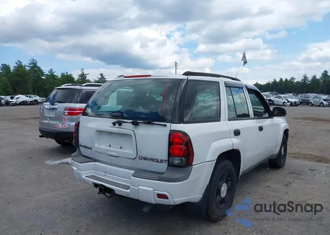 2004 Chevrolet Trailblazer Ls из США, поврежденный, VIN 1GNDT13SX42212451